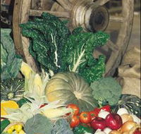 Mulgowie Real Farmers Markets - Holiday Cairns