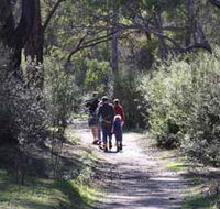 Syd's Rapids and Aboriginal Heritage Trail Avon Valley - Holiday Cairns