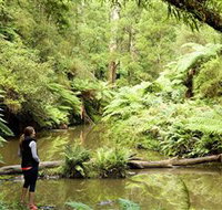 Morwell National Park - Holiday Cairns