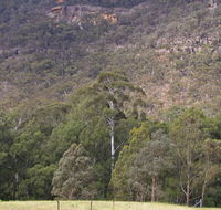 Bangadilly National Park - Holiday Cairns