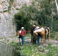 Yarramba Horse Riding - Holiday Cairns