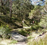 Wollomombi walking track - Holiday Cairns