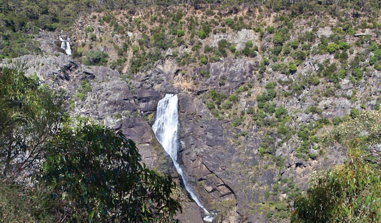 Yarrowitch NSW Holiday Cairns