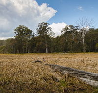 Mummel Gulf National Park - Holiday Cairns