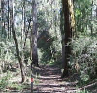 Box Vale Mine Walking Track and Lookout - Holiday Cairns