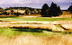 Mt Broughton Golf And Country Club - thumb 1