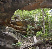 Cave Creek Walking Track - Holiday Cairns