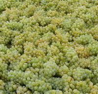Normanby Wines - Holiday Cairns