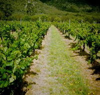 Gartelmann Wines - Holiday Cairns