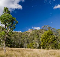 Brush Turkey track - Holiday Cairns