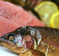 Lovedale Smokehouse Gourmet Pantry Cafe and Masterclasses - Holiday Cairns
