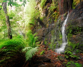Fairy Bower Falls - Holiday Cairns 0