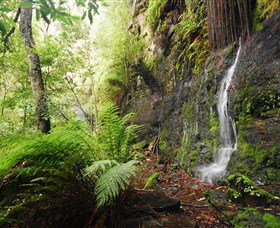 Fairy Bower Falls - Holiday Cairns 2