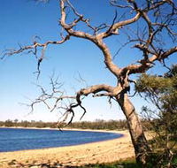 Lake Indoon - Holiday Cairns
