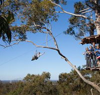 TreeTop Safari - Holiday Cairns