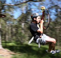 TreeTop Adventure Park Sydney - Holiday Cairns