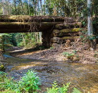Myrtle Scrub scenic drive - Holiday Cairns
