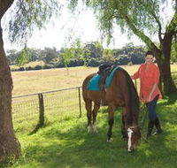 Sugarloaf Horse Centre - Holiday Cairns