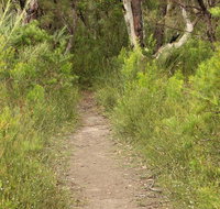Three Views walking track - Holiday Cairns