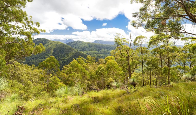 Afterlee NSW Holiday Cairns