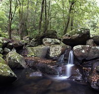 Kangaroo River - Holiday Cairns