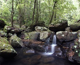 Kangaroo River - Holiday Cairns 0