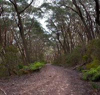Budawang National Park - Holiday Cairns