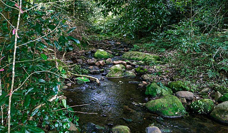 Macquarie Pass NSW Holiday Cairns