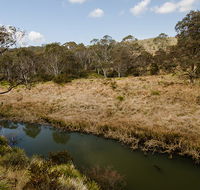 Werrikimbe National Park - Holiday Cairns