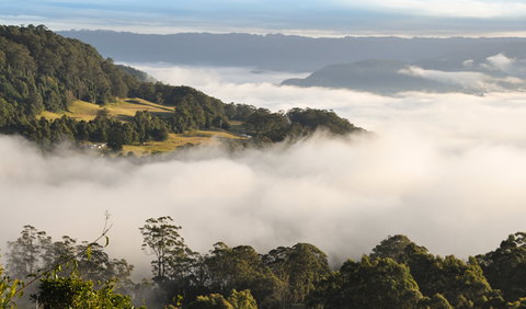 Cambewarra Range Nature Reserve - Holiday Cairns 0