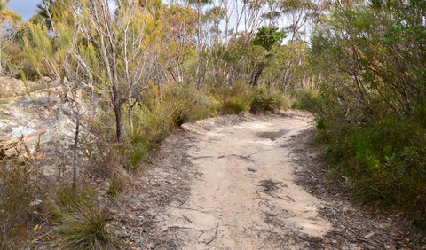 Cambewarra Range Nature Reserve - Holiday Cairns 1