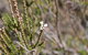 Cambewarra Range Nature Reserve - thumb 2