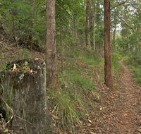 Border loop walk - Holiday Cairns