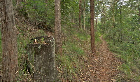 Border Loop Walk - Holiday Cairns 0