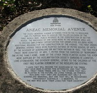 Anzac Memorial Avenue Redcliffe - Holiday Cairns