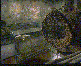 Australian Museum - Holiday Cairns 3