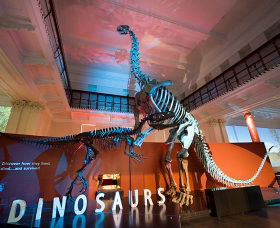 Australian Museum - Holiday Cairns 0