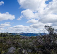Barren Grounds Nature Reserve - Holiday Cairns