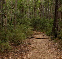 Pigeon House Mountain Didthul walking track - Holiday Cairns