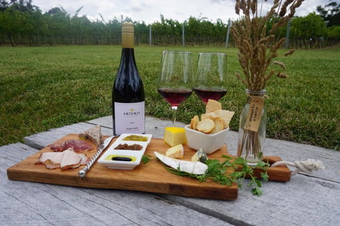 Artemis Wines - Holiday Cairns 0