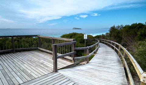 Tea Tree Picnic Area And Lookout - Holiday Cairns 0