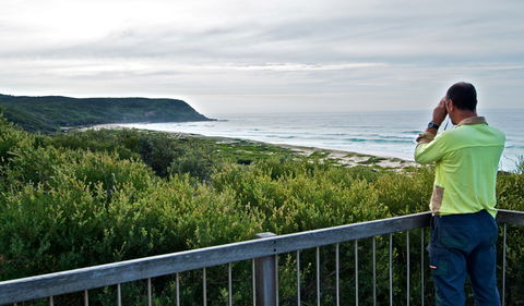 Tea Tree Picnic Area And Lookout - Holiday Cairns 2