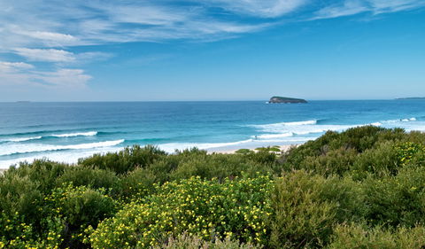 Tea Tree Picnic Area And Lookout - Holiday Cairns 3