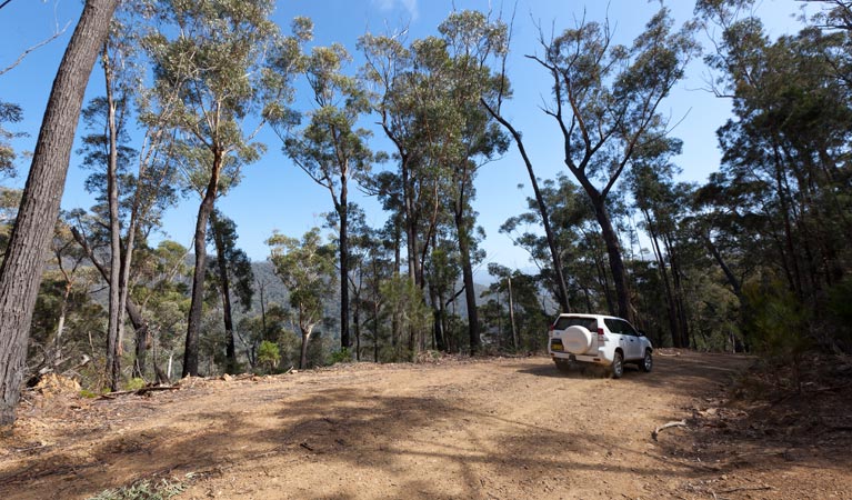 Wadbilliga NSW Holiday Cairns