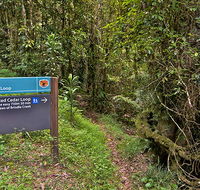 Red Cedar loop - Holiday Cairns