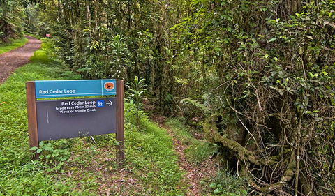 Red Cedar Loop - Holiday Cairns 0