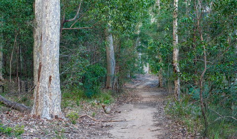 Delta Track - Holiday Cairns 0