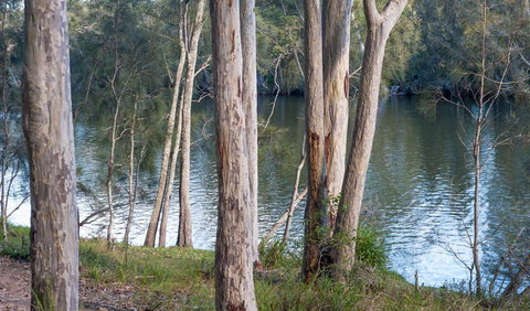 Delta Track - Holiday Cairns 2