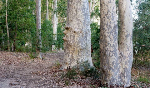Delta Track - Holiday Cairns 3