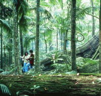 Illinbah circuit - Holiday Cairns